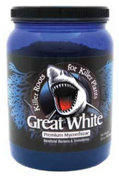 Great White